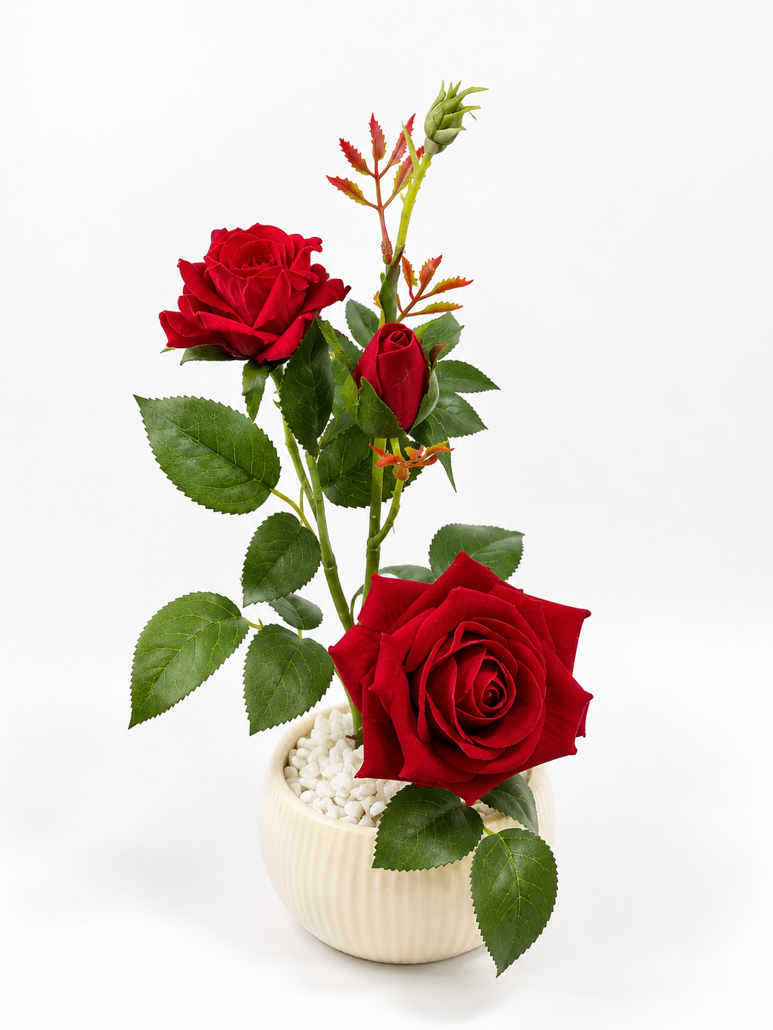 Scarlet Rose Trio in Ribbed Ceramic Pot